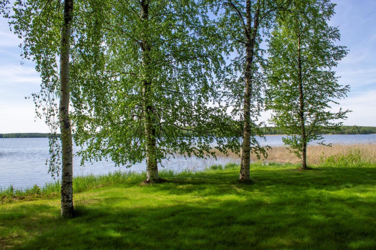 Jokiniemen Matkailu Cottages Tolva (Lapinlahti) Exterior foto
