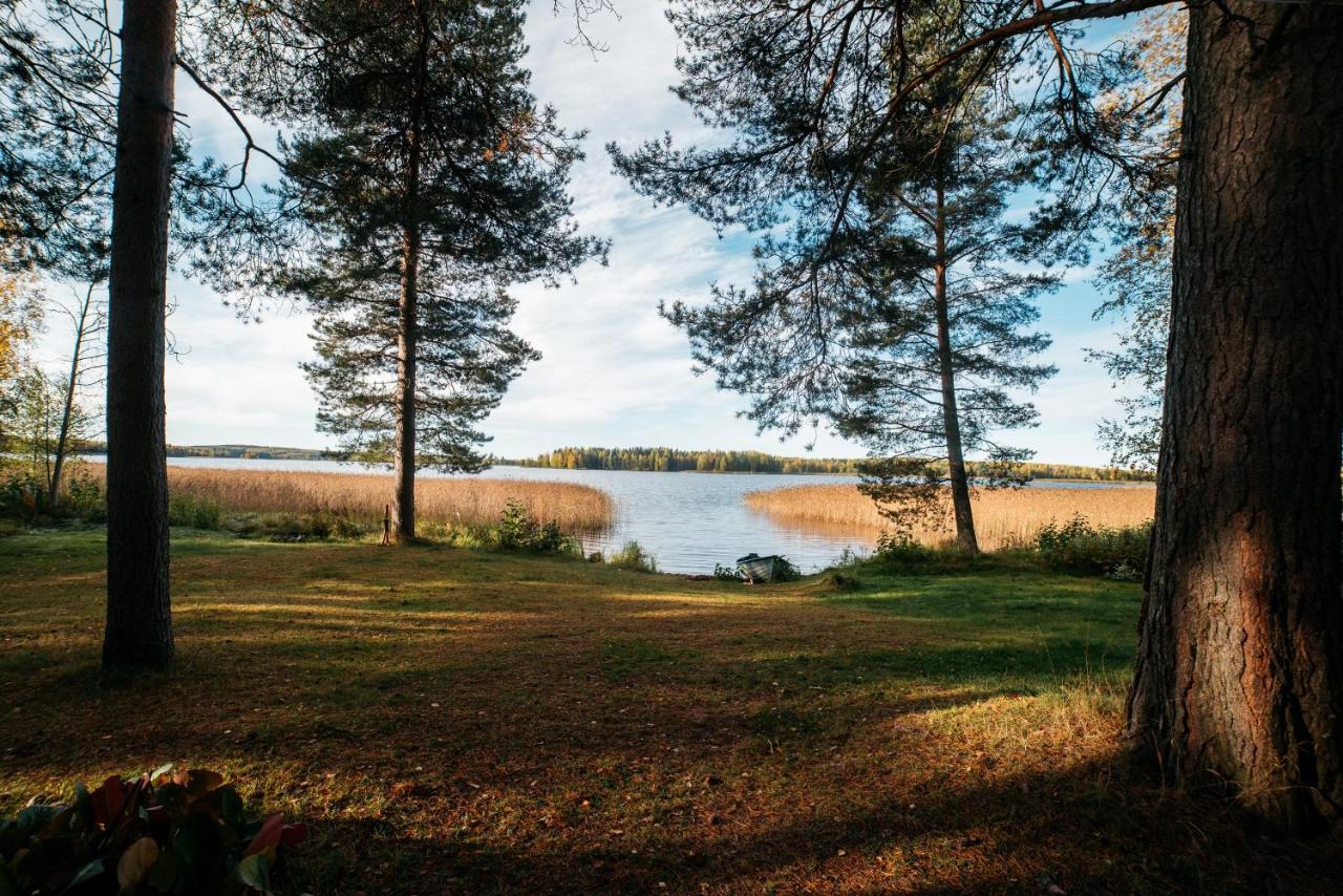 Jokiniemen Matkailu Cottages Tolva (Lapinlahti) Exterior foto